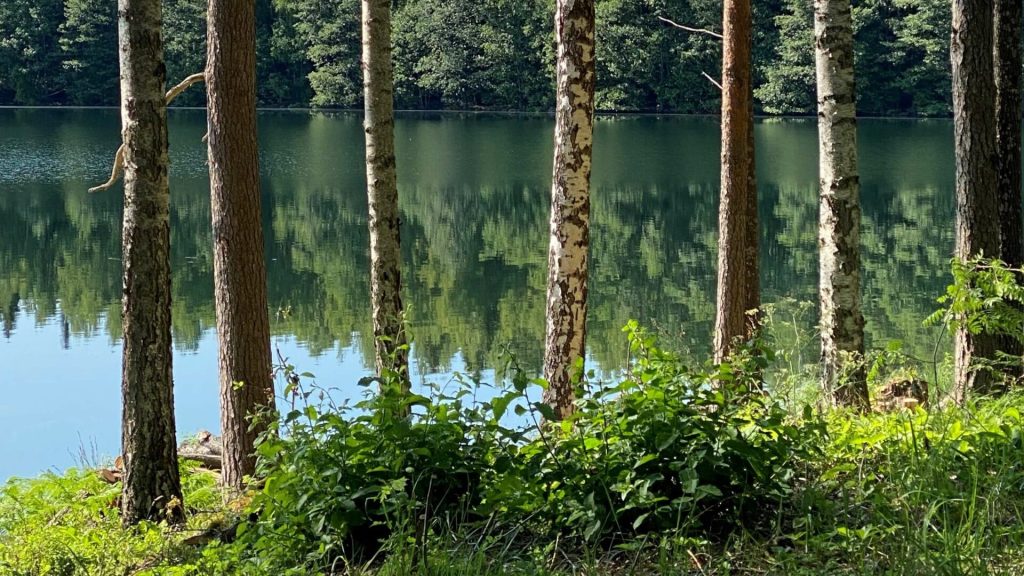 Röykkä Resortin tykypäivä-ideat – top 5 